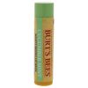 Cucumber Mint Moisturizing Lip Balm by Burts Bees for Women - 0.15 oz Lip Balm